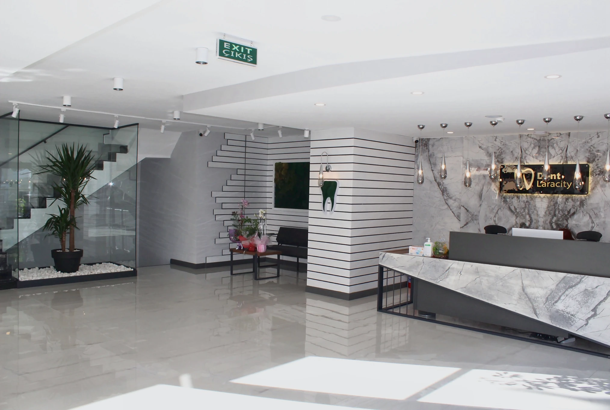 Why Choose Dent Laracity?